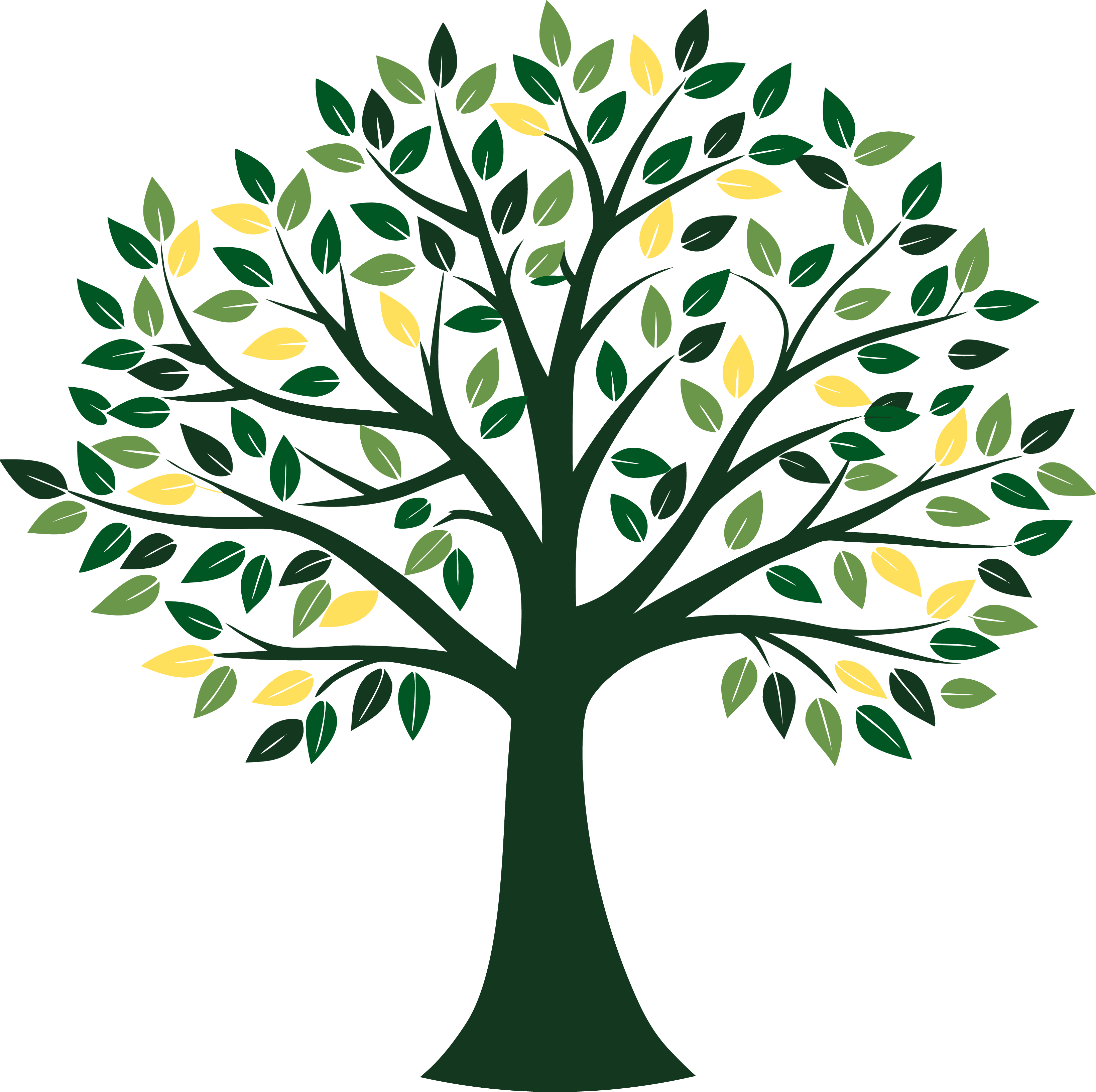 Arbre Team to Leadly